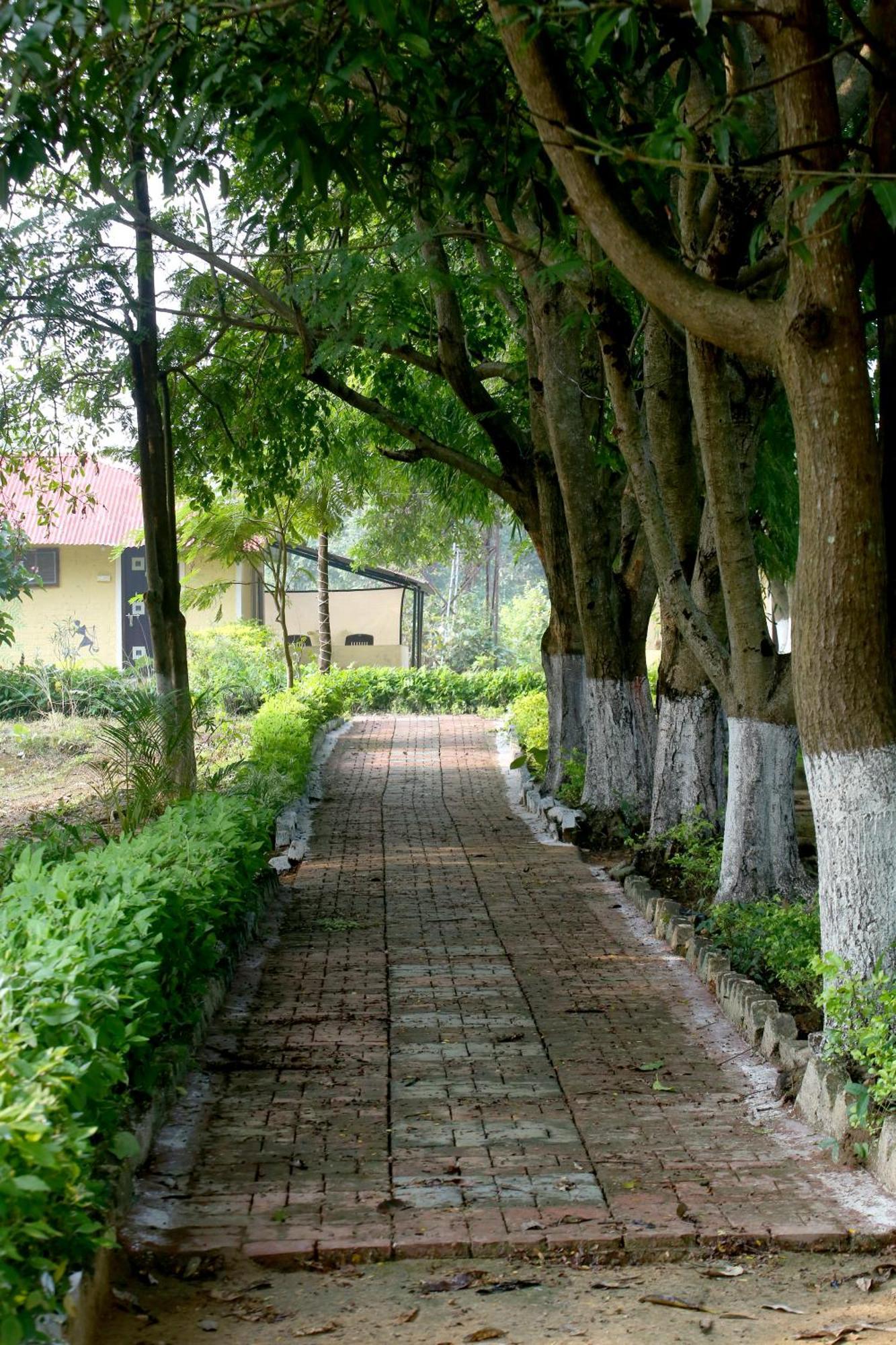 Dhanwār Tribal Wood Resort מראה חיצוני תמונה