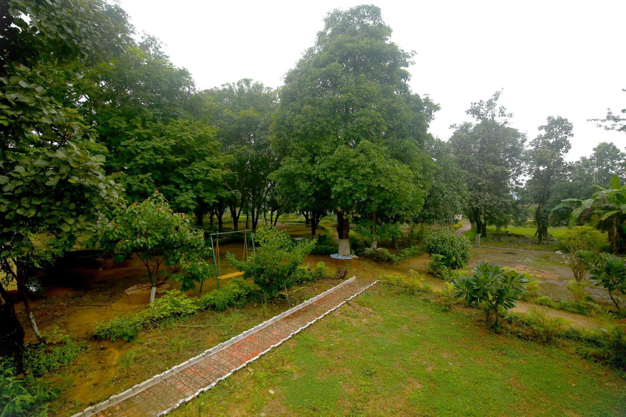 Dhanwār Tribal Wood Resort מראה חיצוני תמונה